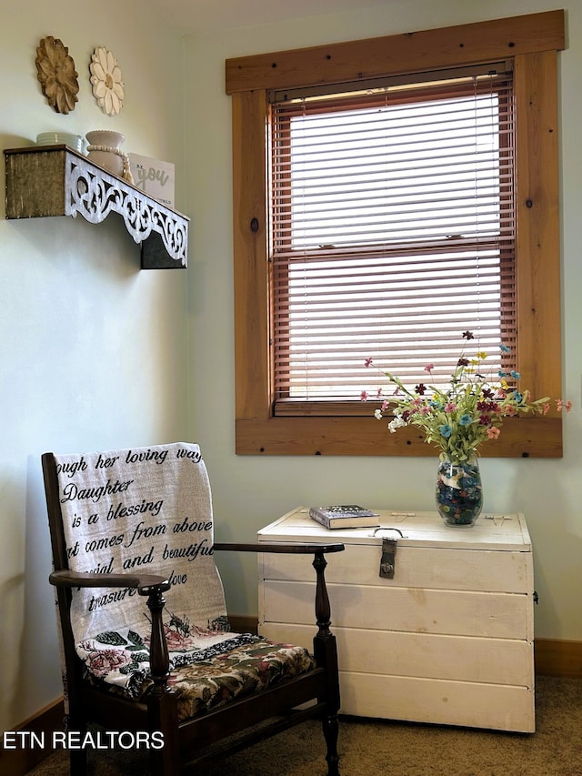 sitting room with a wealth of natural light and carpet