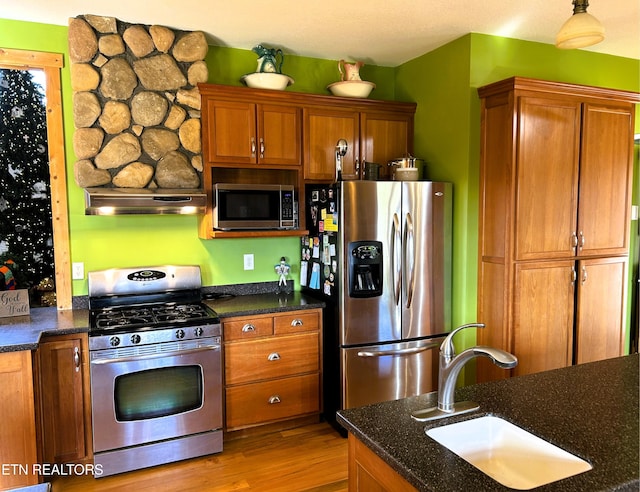 kitchen with appliances with stainless steel finishes, ventilation hood, light hardwood / wood-style flooring, and sink