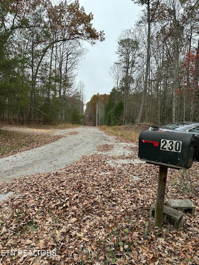 view of road