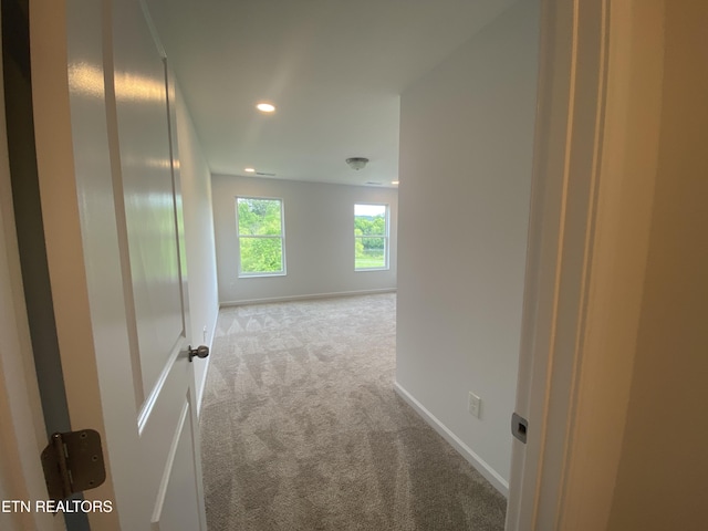 6748 Water Lilly Way, Knoxville, TN 37918 - photo 8