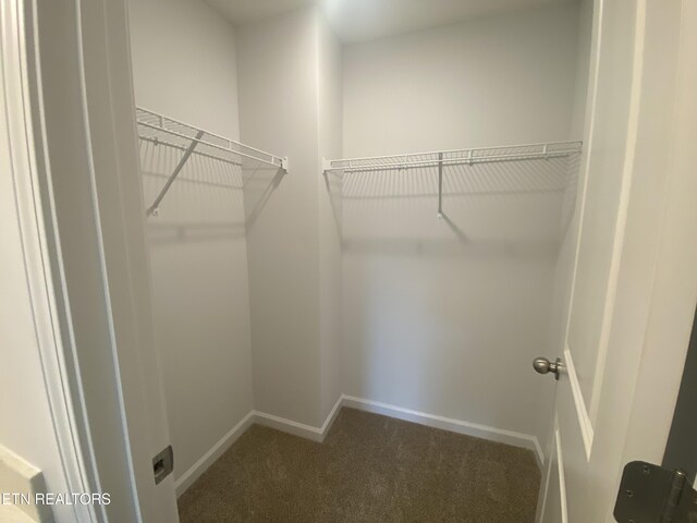 6748 Water Lilly Way, Knoxville, TN 37918 - photo 17