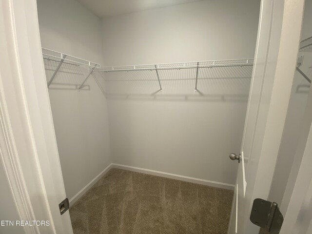 6748 Water Lilly Way, Knoxville, TN 37918 - photo 24