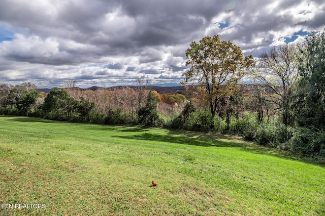 6202 Mountain Park Dr, Knoxville, TN 37918 - photo 53