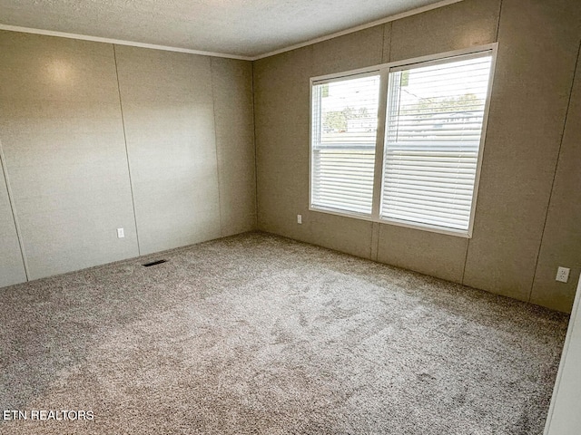 empty room featuring a textured ceiling, carpet floors, and crown molding