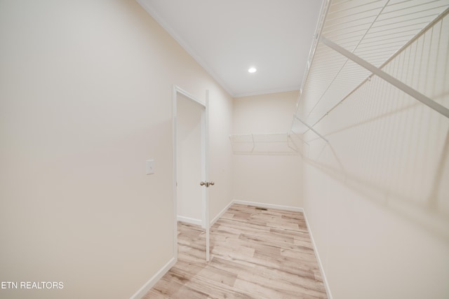 spacious closet with light wood-type flooring