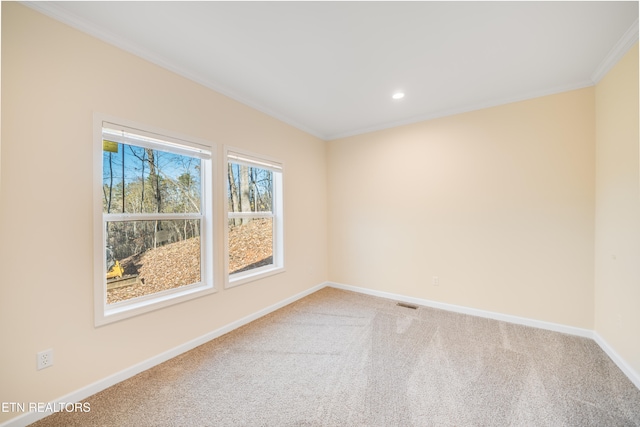 spare room with ornamental molding and carpet