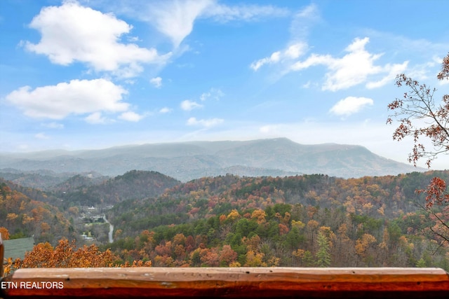 view of mountain feature