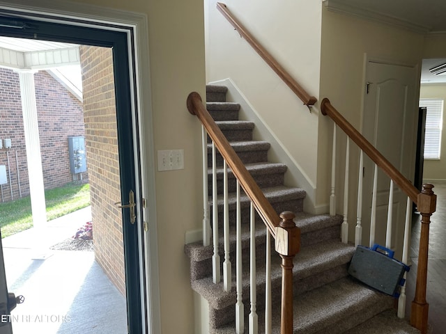 stairway featuring carpet floors, a wealth of natural light, and crown molding