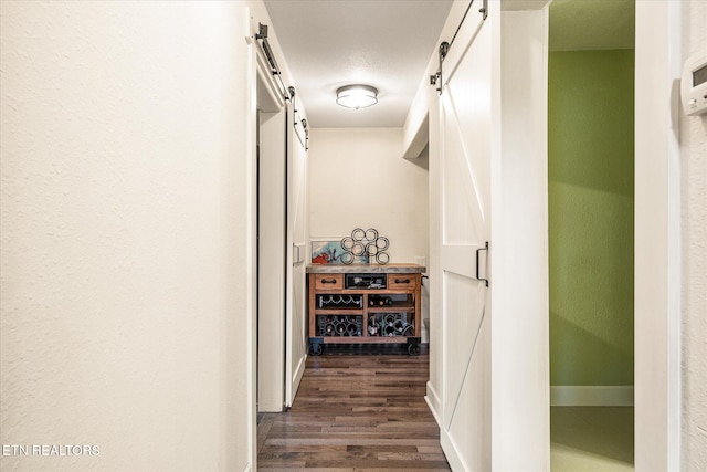 spacious closet featuring a barn door and dark hardwood / wood-style flooring