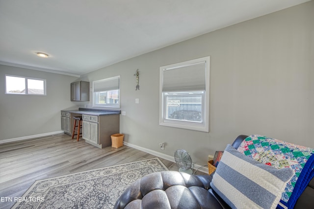 sitting room featuring light hardwood / wood-style flooring