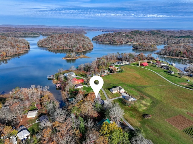 bird's eye view with a water view