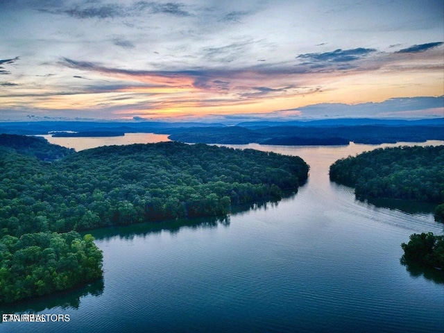 property view of water