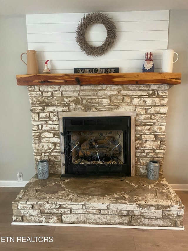 details featuring a fireplace and wood-type flooring