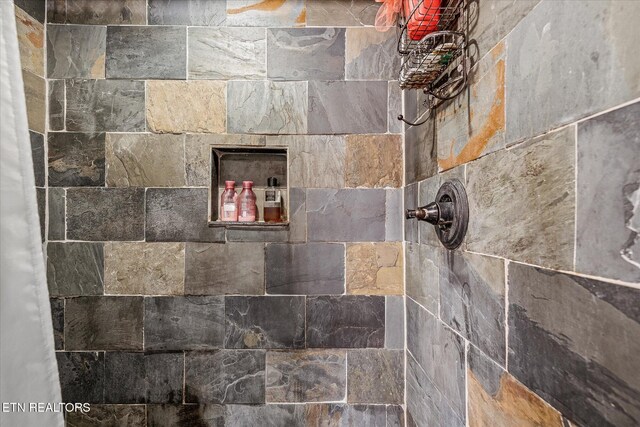 interior details featuring a shower with curtain