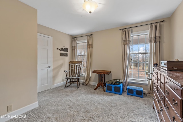 sitting room featuring light carpet