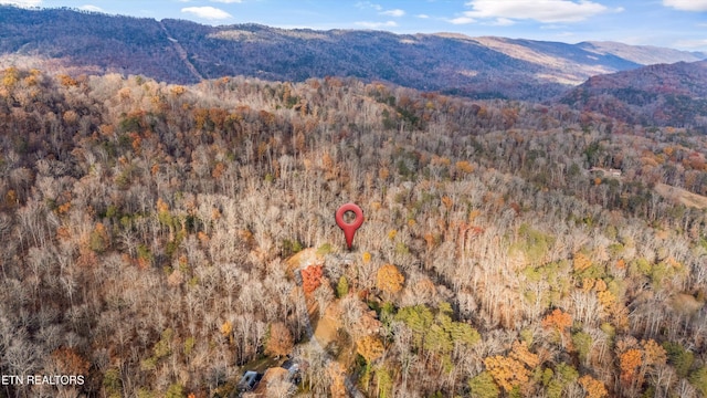 property view of mountains