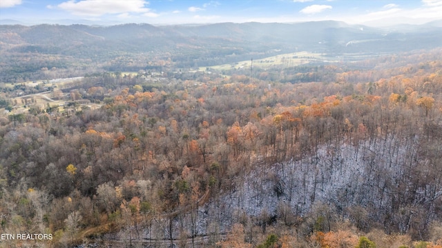 aerial view featuring a mountain view