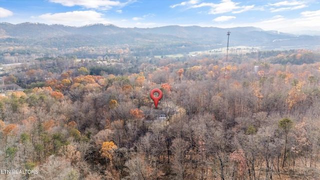 bird's eye view with a mountain view