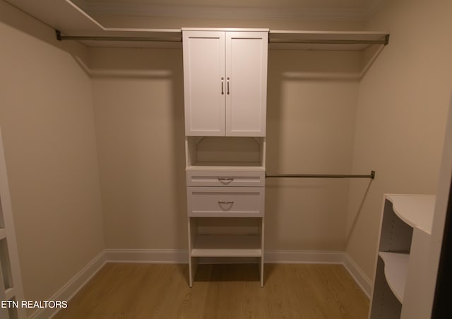 spacious closet with light wood-type flooring