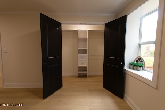 view of closet