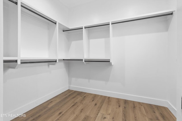 spacious closet with hardwood / wood-style floors