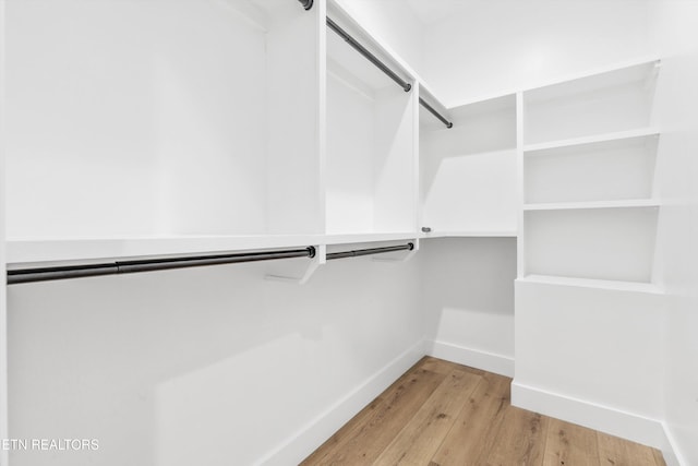 spacious closet featuring light hardwood / wood-style flooring