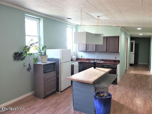 kitchen with light wood-type flooring, white appliances, and plenty of natural light