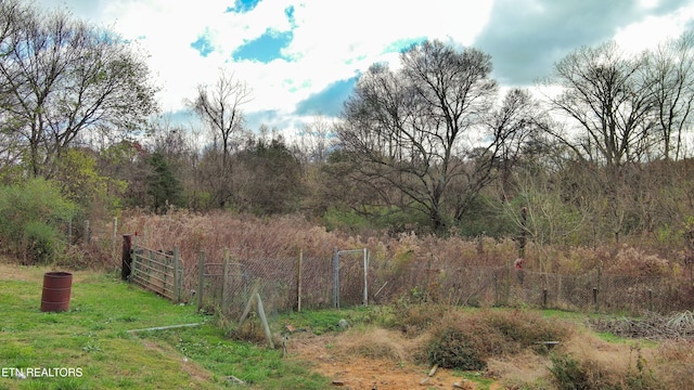 view of local wilderness