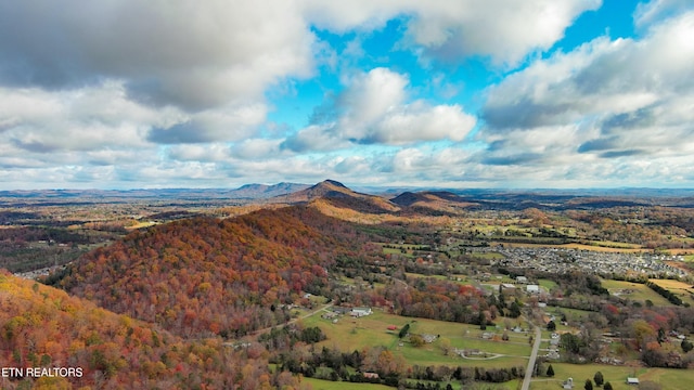 view of mountain feature