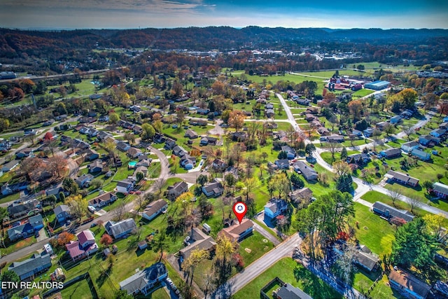 aerial view with a mountain view