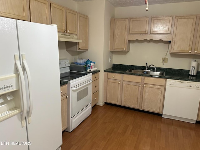 kitchen with sink, dark hardwood / wood-style floors, white appliances, and light brown cabinets