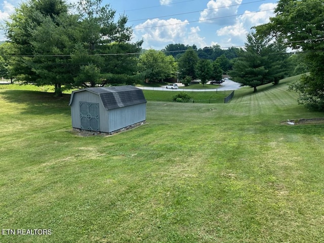 view of yard with a storage shed