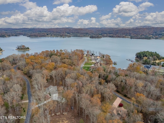 212 E Shore Dr, Rockwood, TN 37854 - photo 4