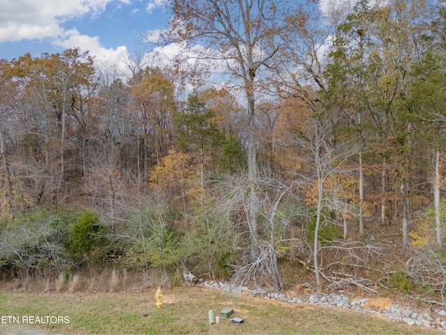 212 E Shore Dr, Rockwood, TN 37854 - photo 6