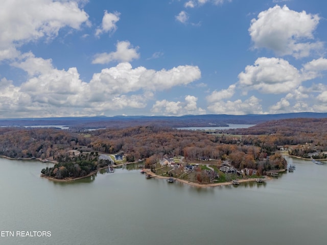 212 E Shore Dr, Rockwood, TN 37854 - photo 7
