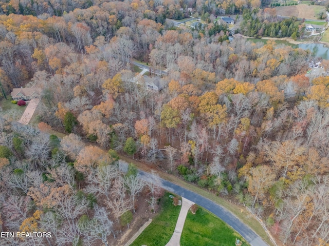 212 E Shore Dr, Rockwood, TN 37854 - photo 8