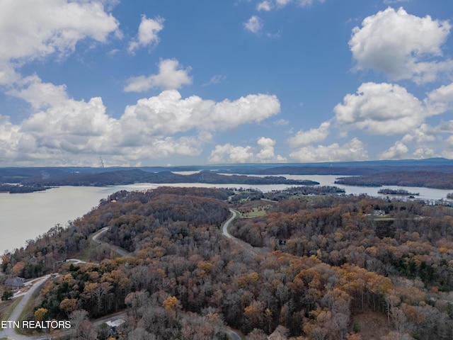 212 E Shore Dr, Rockwood, TN 37854 - photo 11
