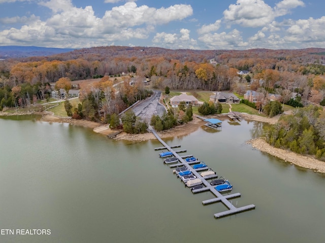 212 E Shore Dr, Rockwood, TN 37854 - photo 12