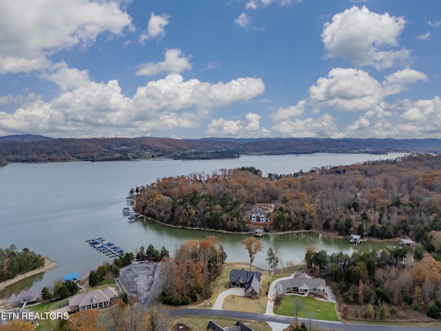 212 E Shore Dr, Rockwood, TN 37854 - photo 13