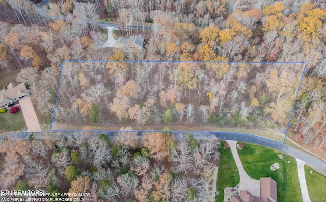 212 E Shore Dr, Rockwood, TN 37854 - photo 2