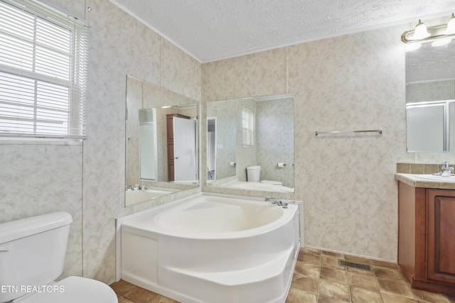 bathroom with a bathing tub, vanity, a textured ceiling, and toilet