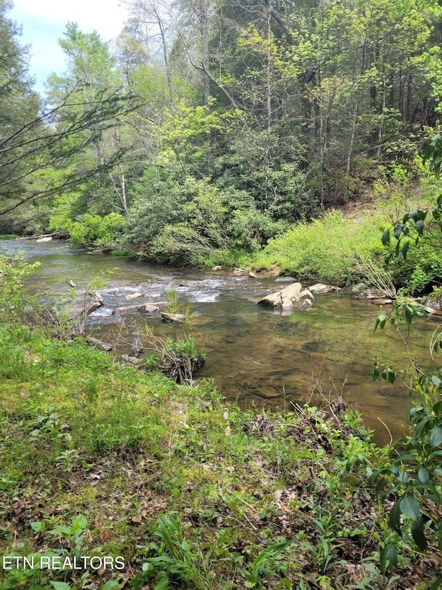 view of local wilderness