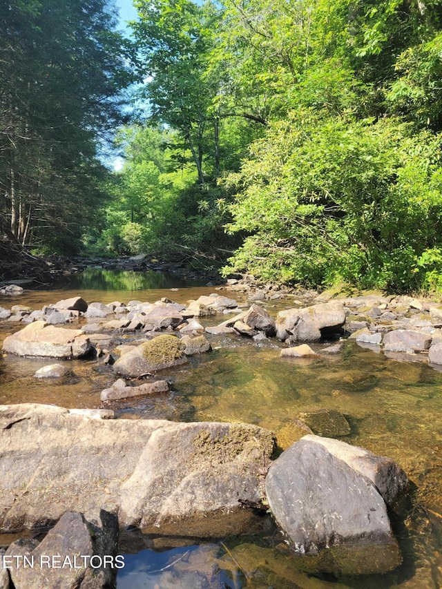 view of local wilderness