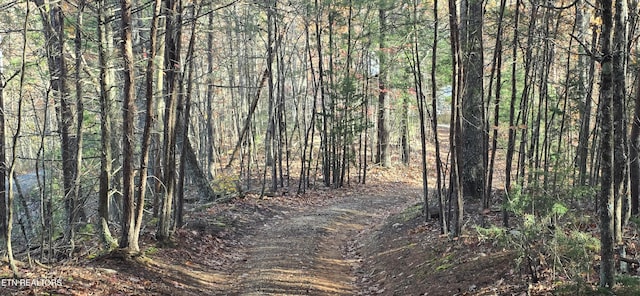 view of landscape