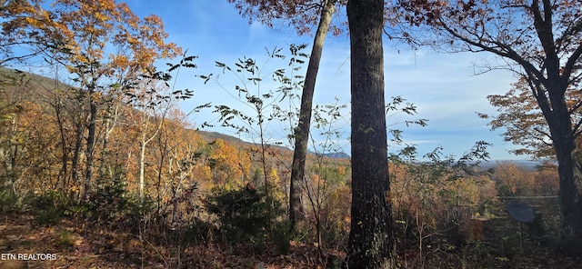 view of mountain feature