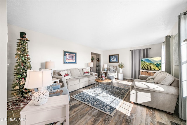 living room with dark hardwood / wood-style flooring