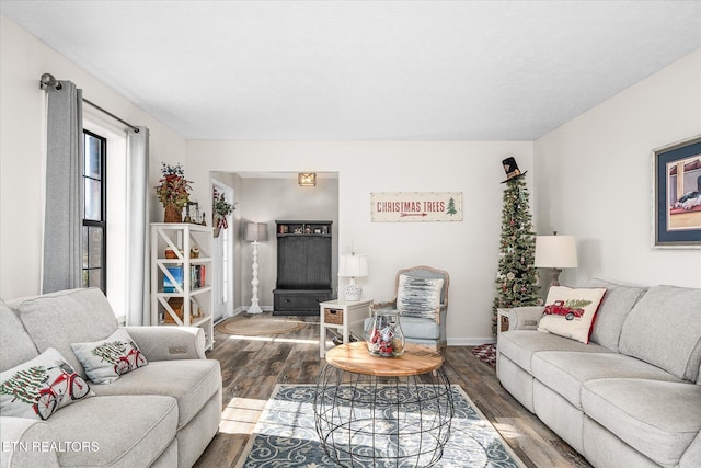 living room with dark hardwood / wood-style floors