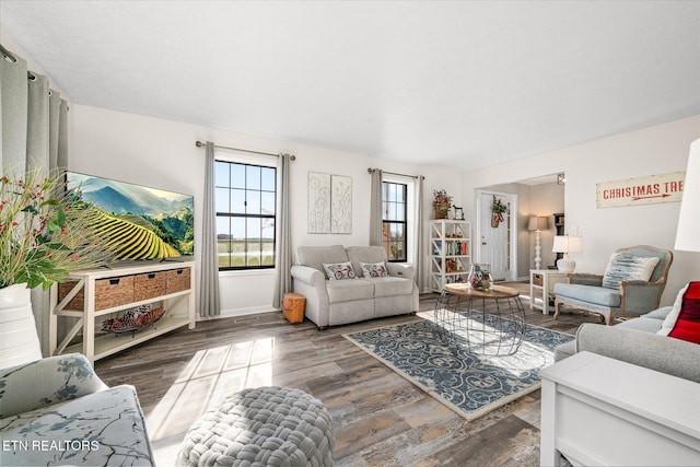 living room featuring hardwood / wood-style floors