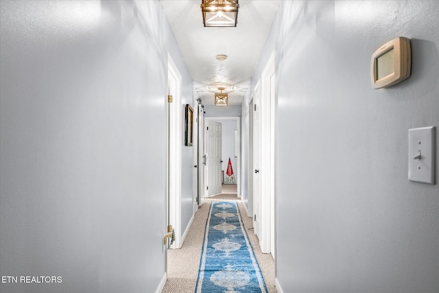 corridor with carpet flooring