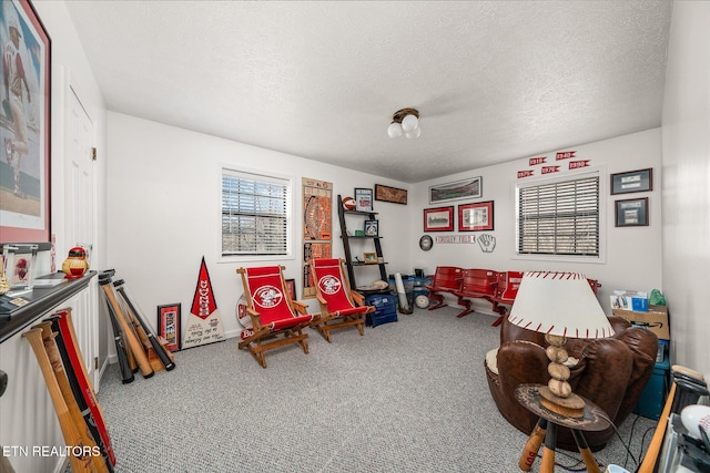 recreation room with carpet and a textured ceiling